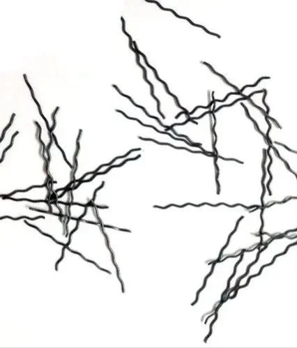 Round Crimped Steel Fiber